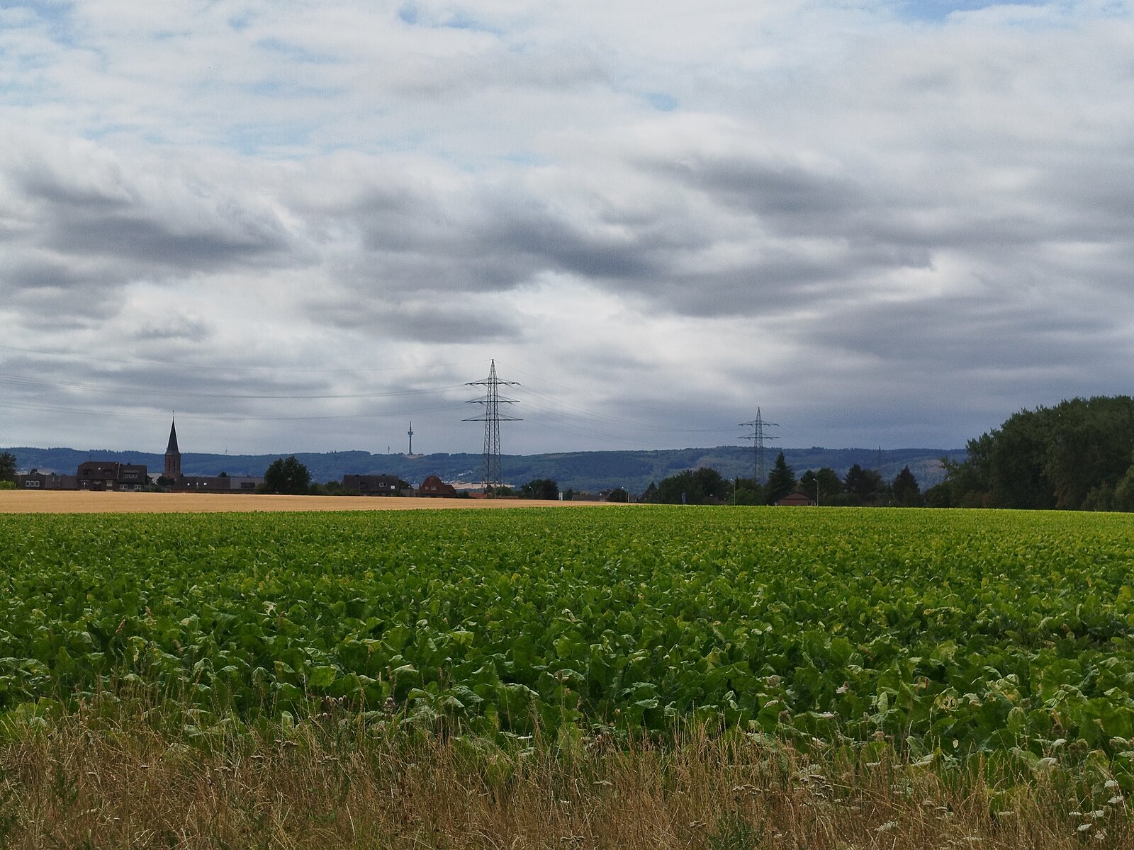 Fields near home